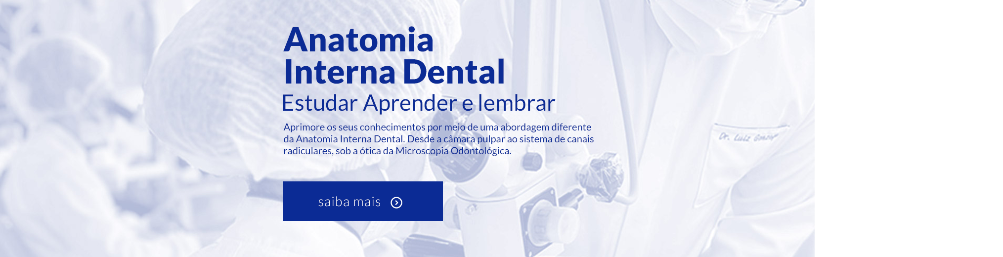 Anatomia Interna Dental